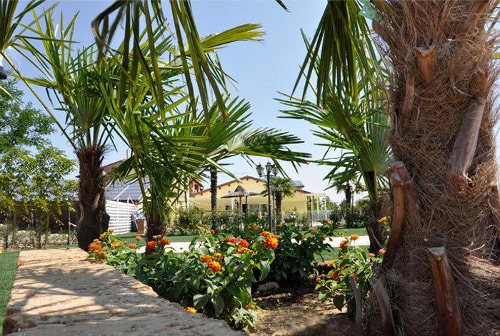 Locanda Del Lupo Faenza Zewnętrze zdjęcie